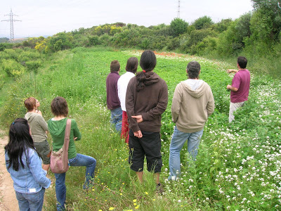 Can Bofill i Ca n'Olivaró